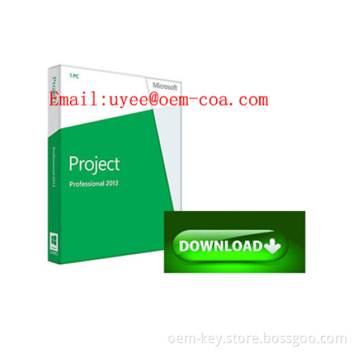 Microsoft Project 2013 Professional FPP Key